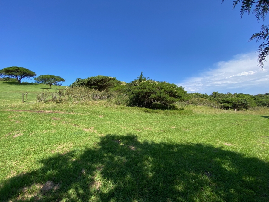 0 Bedroom Property for Sale in Khamanga Bay Eastern Cape
